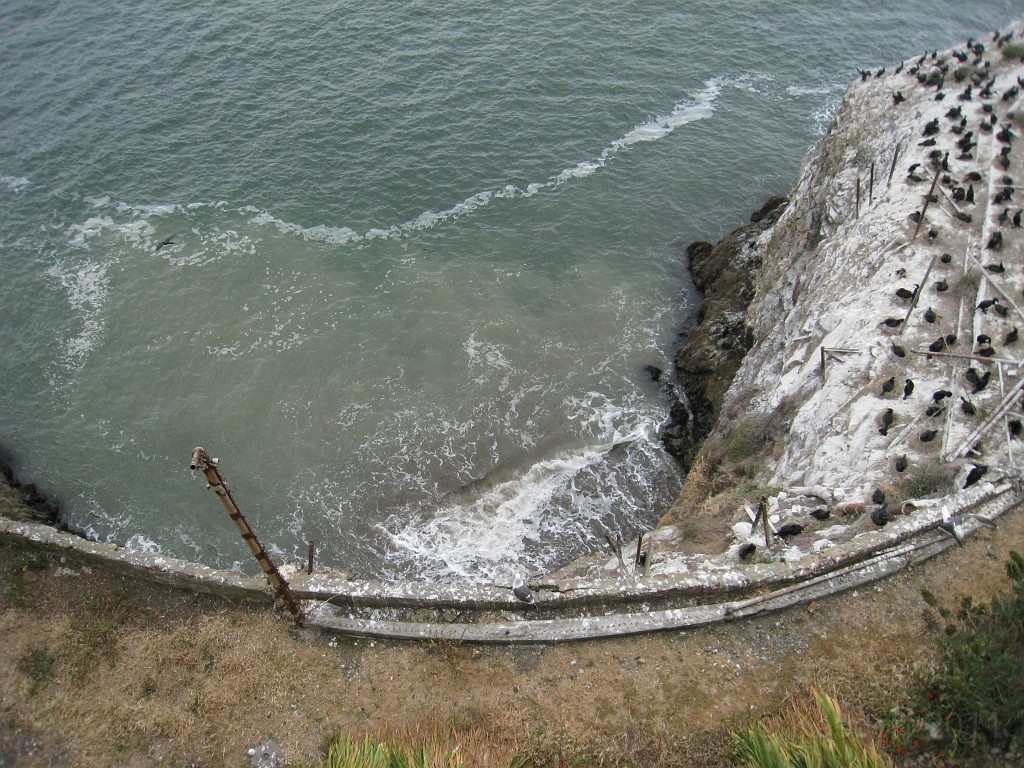 2011 Bay 2 Breakers Saturday 0765.JPG - I was able to participate in the 2011, 100th anniversary of the San Francisco Bay to Breakers 12K race. A great weekend for sight seeing and racing.